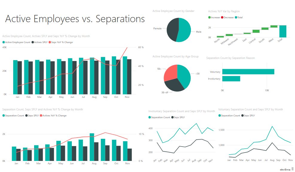 Screenshot shows the Active Employees vs. Separations page.