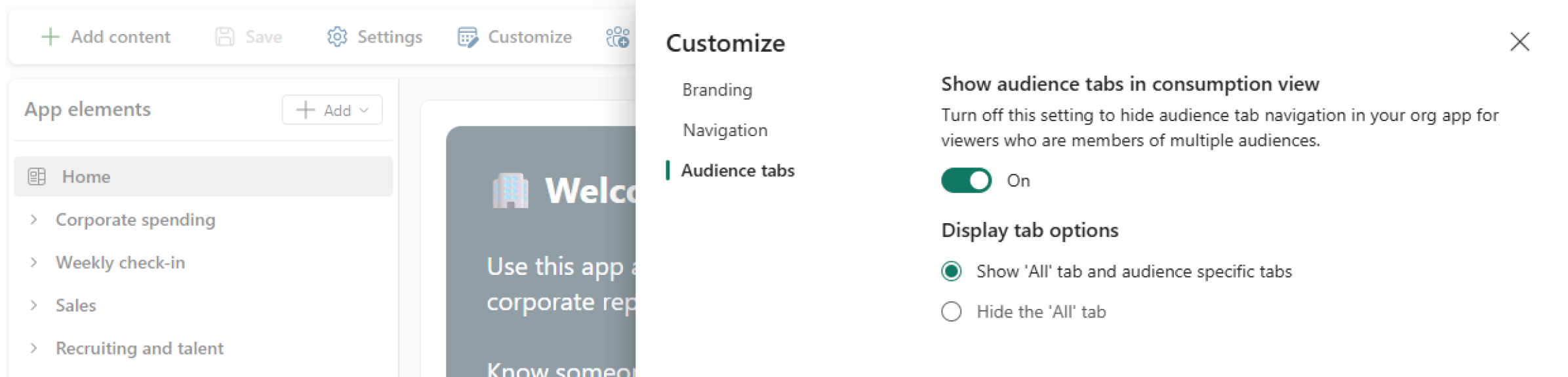 Screenshot of audience tab display settings in org app customization.