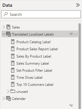 Screenshot shows the Data pane with the Translated Localized Labels field selected.