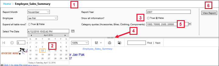 Screenshot of View report with parameters.