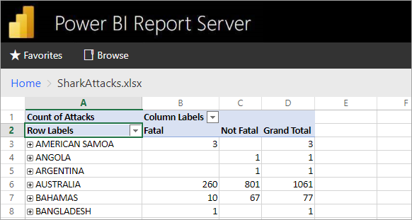 Excel reports viewed from the report server web portal
