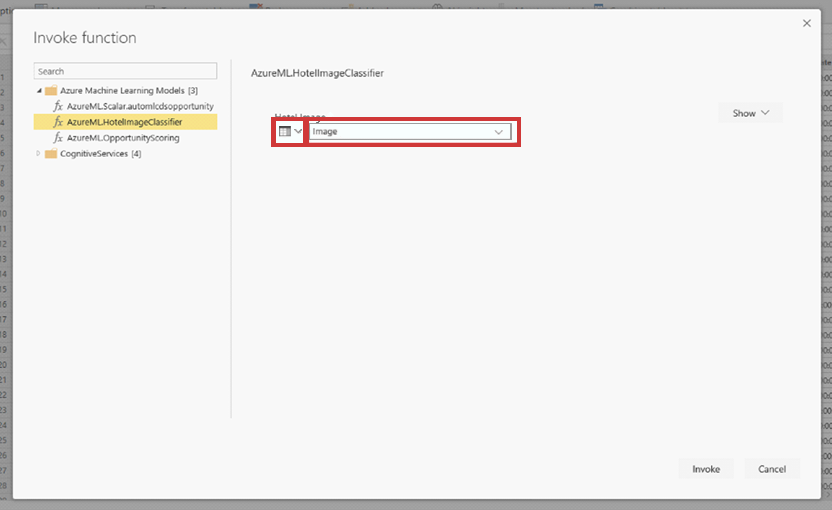 Screenshot of the column selection option on the Invoke function dialog box.