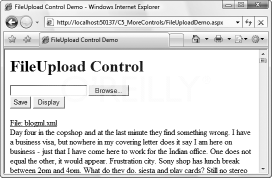 FileUploadDemo displaying a file