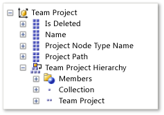 Team Project Dimension