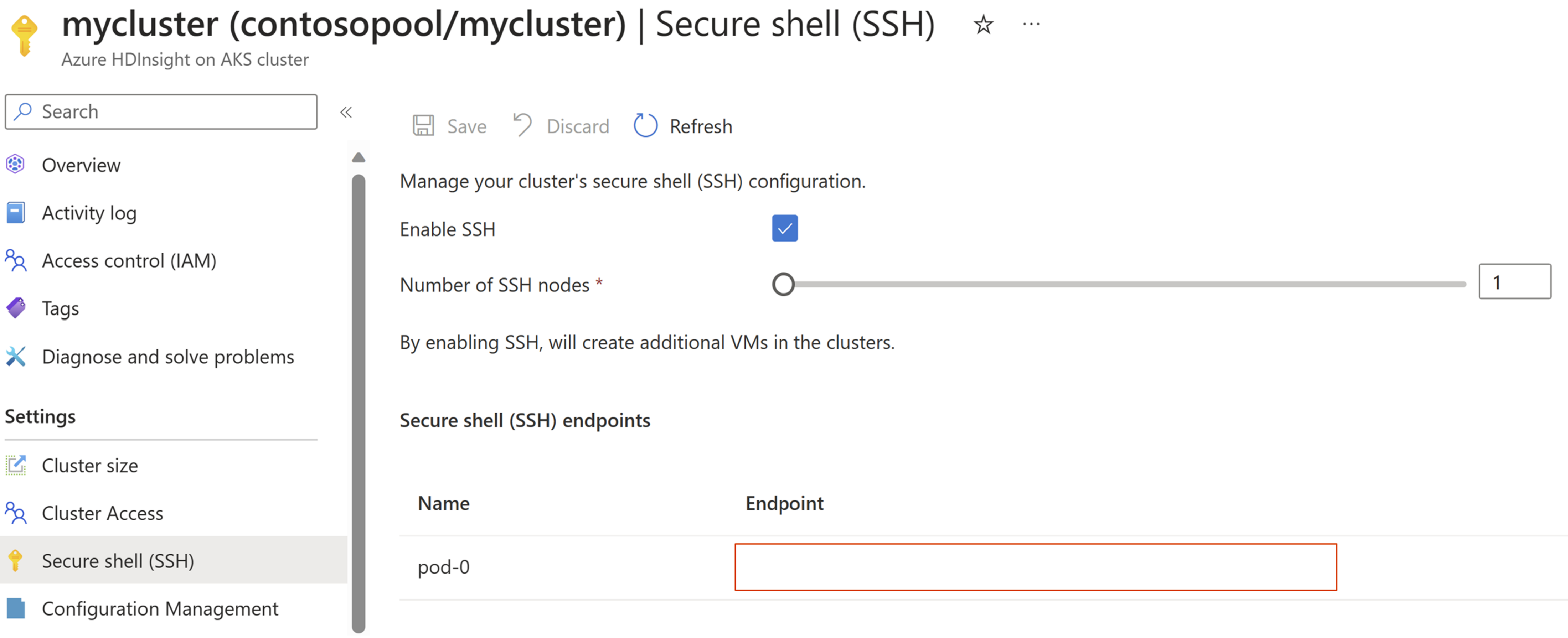 Screenshot showing secure shell and Web SSH endpoint.