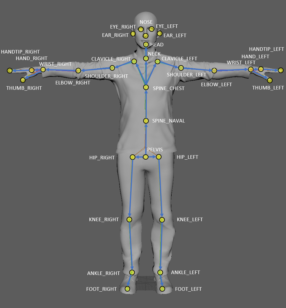 Joint hierarchy