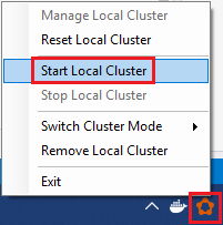 Figure 1 - Start the local cluster
