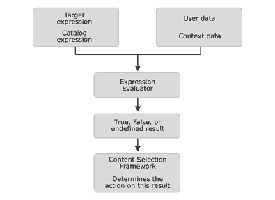 A figure that shows how target expressions, catalog expressions, and user and context data are input into the Expression Evaluator. 