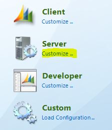 Customizing the Server option