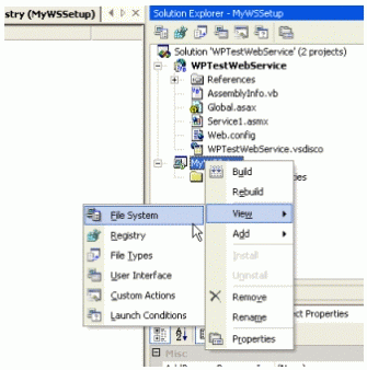Figure 5: Selecting the editor from the View menu of the Setup Project