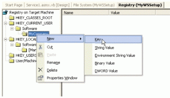 Figure 7: Viewing available options from the Registry