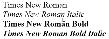Times New Roman font family