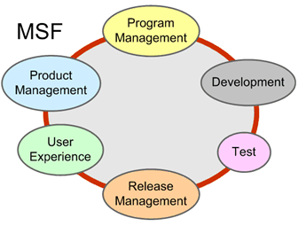 Figure 3. The MSF Team Model