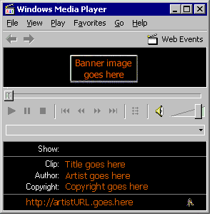 Figure 5: Packaging information displayed in the Windows Media Player