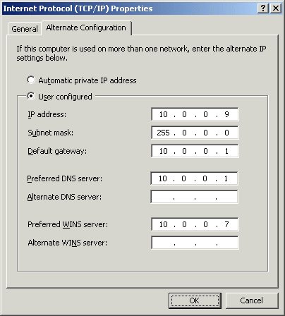 Figure 12-1 Primary and alternate WINS servers on the Alternate Configuration tab