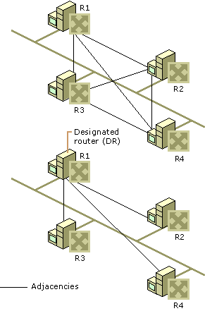 Figure 16: Designated Routers on Broadcast Networks