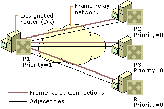 Figure 17: Designated Routers on a Frame Relay Network