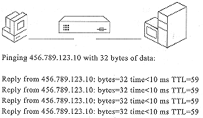 Figure 6.3: Checking latency across a local router.