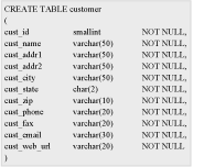 Figure 6-2: A customer table with variable-length columns.