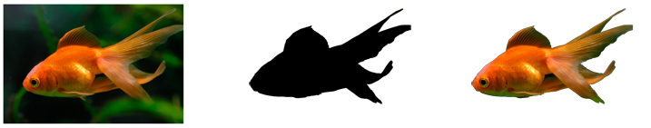 Illustration of a goldfish and a clipped region of the goldfish by using a bitmap mask