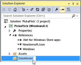 Visual Studio - Data Model Folder