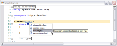 ms379562.codesnippets-fig15(en-US,VS.80).gif
