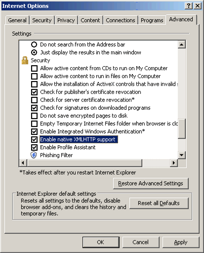 Security settings on Internet Options dialog box