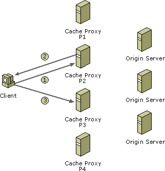 Illustration of proxy redirection. 