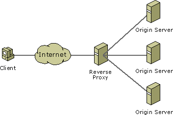 Diagram illustrating reverse proxy. 