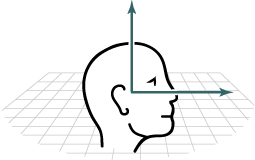 Diagram of listener top and front vectors