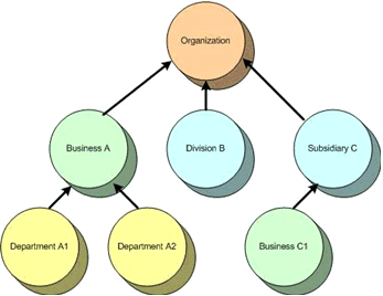 Organization Model
