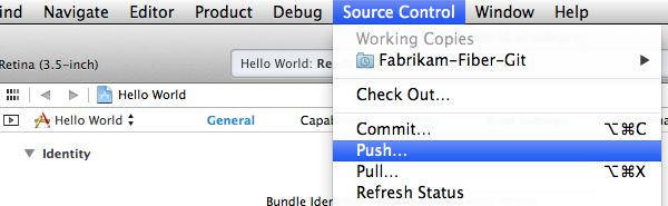 Source control menu, push