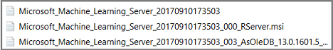 Machine Learning Server setup log files