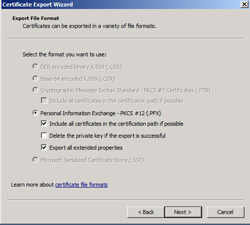 export file format