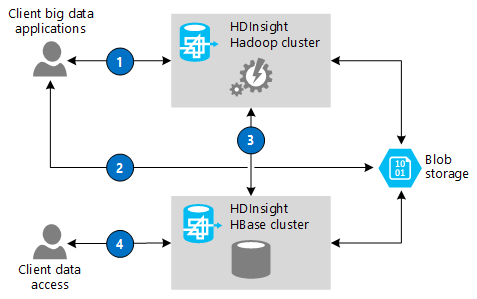 Figure 2 - Data storage options for an Azure HDInsight solution
