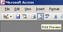 A tool tip in Access
