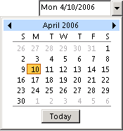 Microsoft Office Outlook Date Control