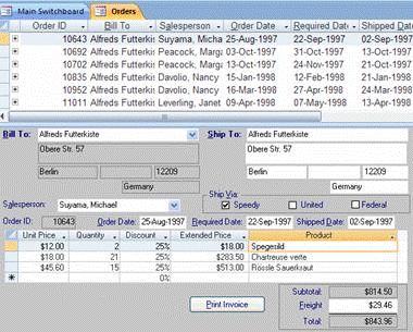Split Form view combines Form and Datasheet views