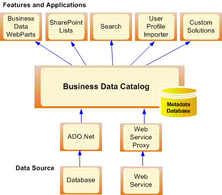 The Business Data Catalog