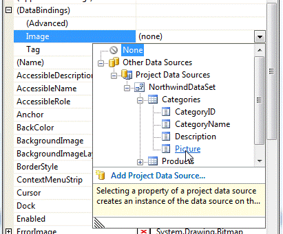Selecting data source for the Image property
