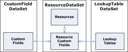 Entity-relationship diagram, resource custom field