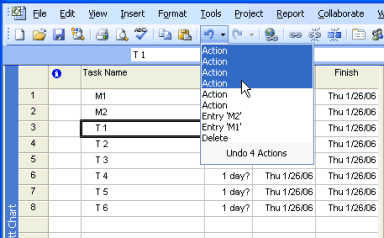 Undo list showing mixed user and macro actions