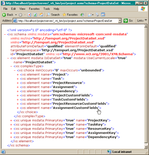 Schema of the ProjectDataSet in Internet Explorer