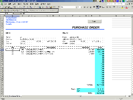 Figure 1. Excel spreadsheet purchase order (click to see larger image)