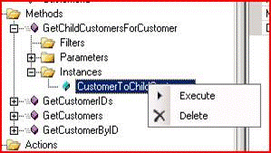 Execute CustomerToChildCustomers method instance