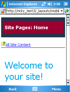 Customized Header Section in Home Page