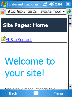 Uncustomized Mobile Home Page