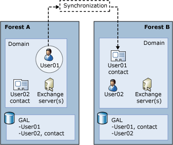 Complex Exchange Organization with Multiple Forest