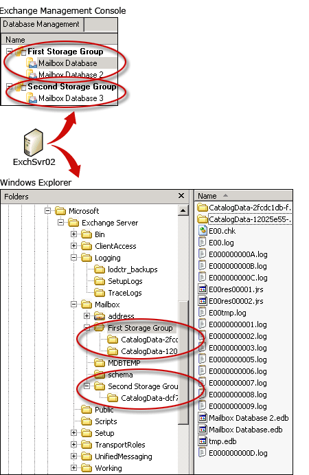 Exchange 2007 Storage Groups and Files