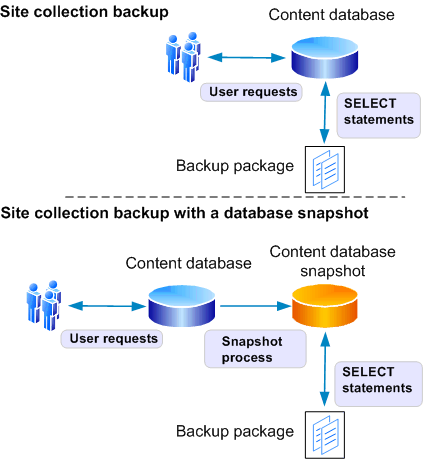 Granular backup/export process